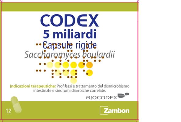 CODEX*12CPS 5MLD 250MG - Farmacia Puddu Baire S.r.l.