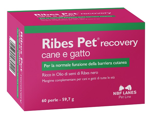 RIBES PET RECOVERY BLISTER 60 PERLE - Farmacia Puddu Baire S.r.l.