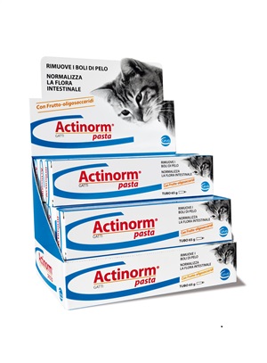 ACTINORM PASTA GATTI 65G - Farmacia Puddu Baire S.r.l.