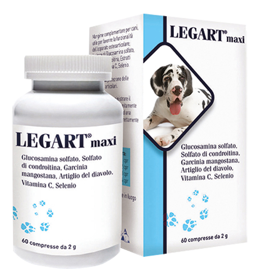 LEGART MAXI 60 COMPRESSE 2 G - Farmacia Puddu Baire S.r.l.