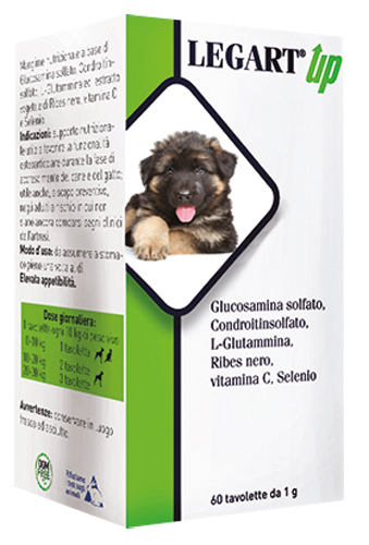 LEGART UP 60 COMPRESSE DA 1 G - Farmacia Puddu Baire S.r.l.