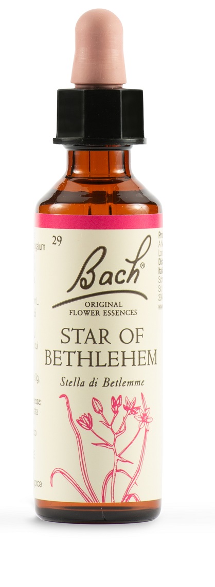 STAR OF BETHL ORIG 20 ML - Farmacia Puddu Baire S.r.l.