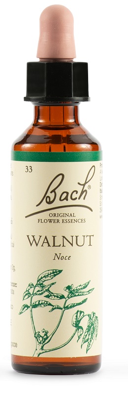 WALNUT BACH ORIG 20 ML - Farmacia Puddu Baire S.r.l.