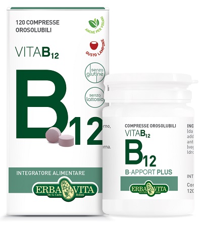 B APPORT VITAMINA B12 120 COMPRESSE OROSOLUBILI - Farmacia Puddu Baire S.r.l.