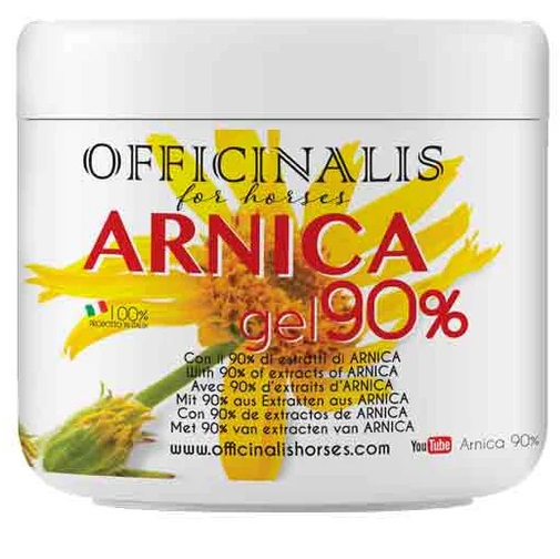 ARNICA GEL 90% 500 ML - Farmacia Puddu Baire S.r.l.