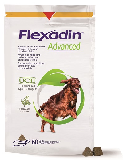 FLEXADIN ADVANCED CANE TUTTE LE TAGLIE 60 TAVOLETTE APPETIBILI - Farmacia Puddu Baire S.r.l.